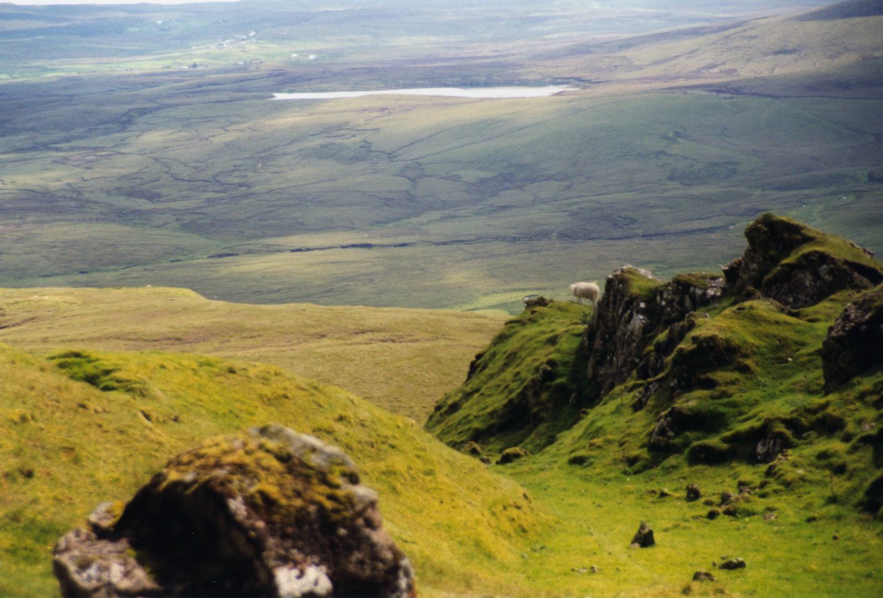 A and M trip to Scotland-Skye 7-10-99 Sheep poop all over trails